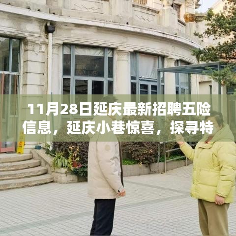 11月28日延慶最新招聘信息與特色小店探尋，五險(xiǎn)信息大解密