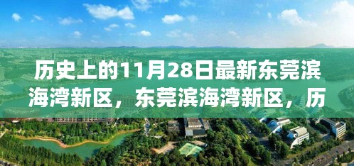 東莞濱海灣新區(qū)，歷史與未來的交匯點(diǎn)，探尋小巷獨(dú)特風(fēng)味當(dāng)日記實(shí)