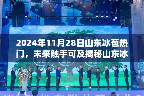 揭秘山東冰苞熱門高科技產(chǎn)品，科技之光照亮生活新篇章（2024年展望）