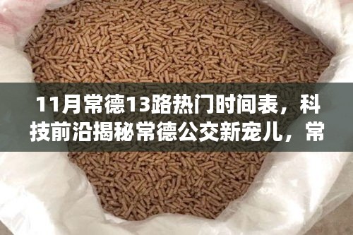 常德公交新寵兒揭秘，智能出行時(shí)代下的常德公交13路時(shí)刻表與智慧出行體驗(yàn)