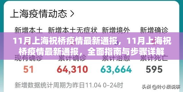 上海祝橋疫情最新通報(bào)，全面指南與詳細(xì)步驟解讀（11月版）