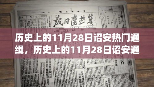 歷史上的11月28日詔安通緝事件深度解讀，事件背后的大揭秘