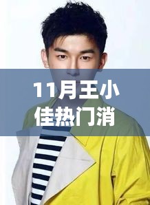 王小佳十一月熱門(mén)消息揭秘，多維解讀背后的故事