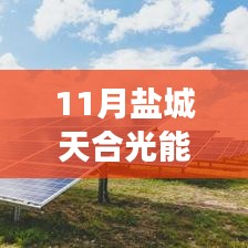 鹽城天合光能熱門招聘應聘全攻略，從入門到成功應聘的每一步解析