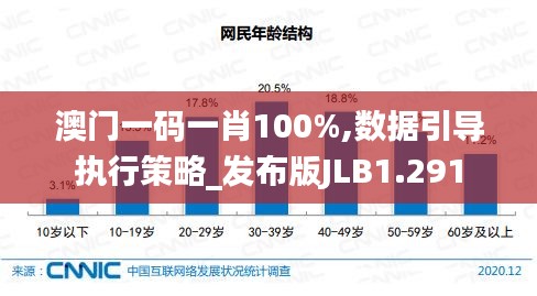 澳門一碼一肖100%,數(shù)據(jù)引導(dǎo)執(zhí)行策略_發(fā)布版JLB1.291