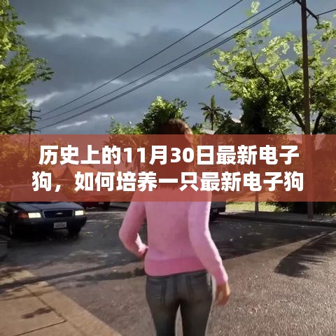 歷史上的11月30日，最新電子狗的培養(yǎng)指南與詳細(xì)指南解析