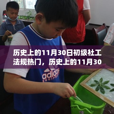 歷史上的11月30日，初級(jí)社工法規(guī)的熱門演變及其深遠(yuǎn)影響
