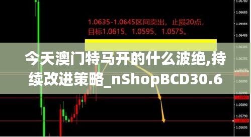 今天澳門特馬開的什么波絕,持續(xù)改進策略_nShopBCD30.691