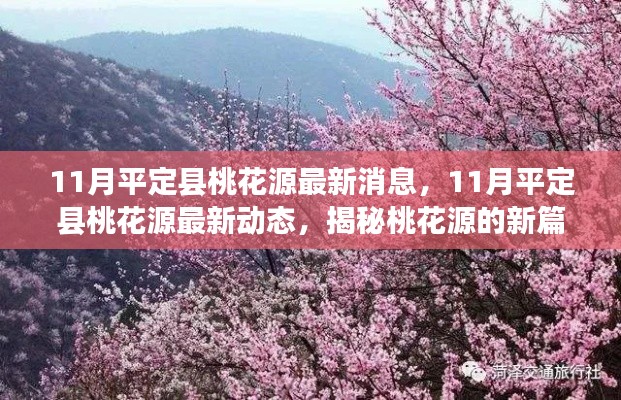 揭秘，11月平定縣桃花源最新動(dòng)態(tài)與進(jìn)展新篇章