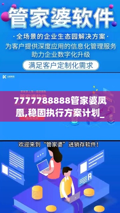 7777788888管家婆鳳凰,穩(wěn)固執(zhí)行方案計(jì)劃_安全版SDW99.925