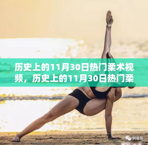 歷史上的柔術(shù)視頻回顧，熱門柔術(shù)視頻深度評測與介紹（11月30日篇）