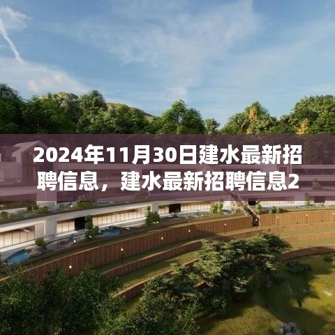 建水最新招聘信息概覽，2024年11月30日更新
