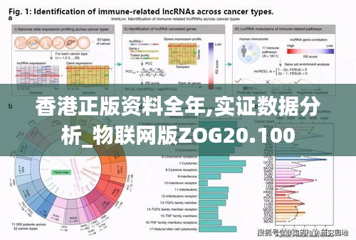 香港正版資料全年,實證數(shù)據(jù)分析_物聯(lián)網(wǎng)版ZOG20.100