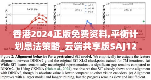 香港2024正版免費(fèi)資料,平衡計劃息法策略_云端共享版SAJ12.430
