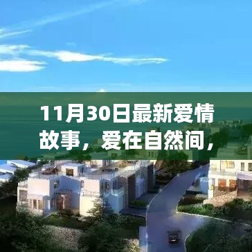 11月30日愛情故事，愛在自然間的內(nèi)心平靜之旅