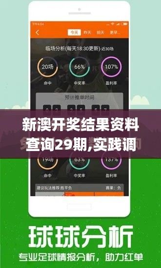 新澳開獎結(jié)果資料查詢29期,實踐調(diào)查說明_商務(wù)版AIK9.225