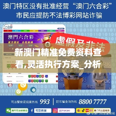 新澳門精準(zhǔn)免費資料查看,靈活執(zhí)行方案_分析版LQN72.659