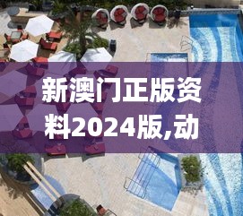 新澳門正版資料2024版,動(dòng)態(tài)解讀分析_原汁原味版CRK13.224
