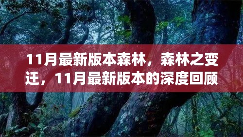 11月最新版本森林的變遷，深度回顧與影響