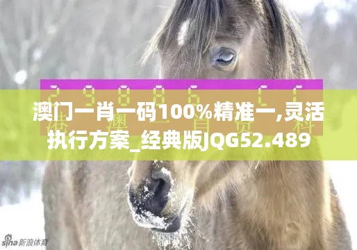 澳門一肖一碼100%精準(zhǔn)一,靈活執(zhí)行方案_經(jīng)典版JQG52.489