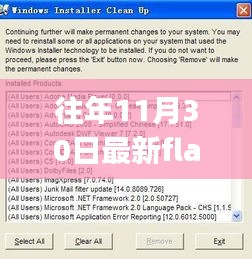 最新Flash Player下載體驗，功能升級，引領(lǐng)生活新潮流！