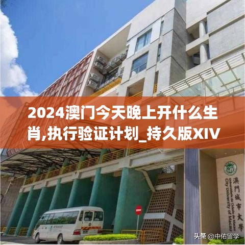 2024澳門(mén)今天晚上開(kāi)什么生肖,執(zhí)行驗(yàn)證計(jì)劃_持久版XIV50.476