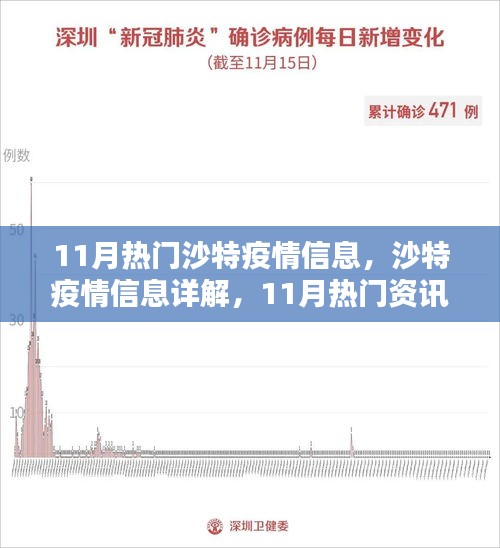 沙特疫情11月詳解，從入門到進階的全方位指南