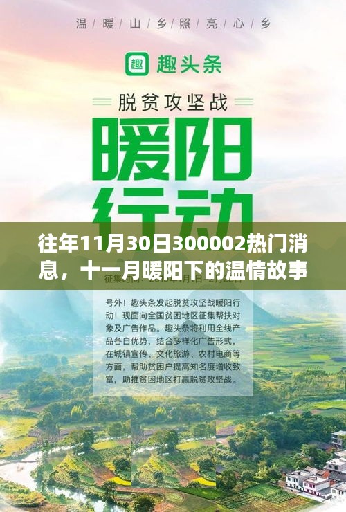 十一月暖陽(yáng)下的溫情故事，揭秘300002熱門(mén)消息的溫馨日常揭秘