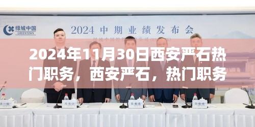 揭秘西安嚴石熱門職務背后的故事與影響，2024年回顧