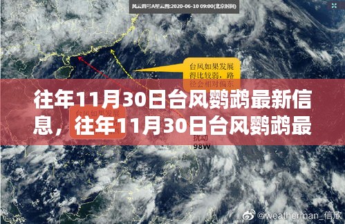 往年11月30日臺風(fēng)鸚鵡最新信息及回顧解析
