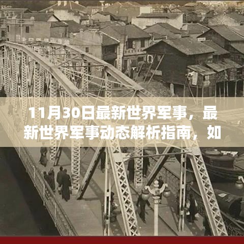 11月30日世界軍事最新動態(tài)解析，深入了解當(dāng)日軍事形勢指南