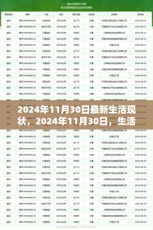 2024年11月30日生活現(xiàn)狀深度解析