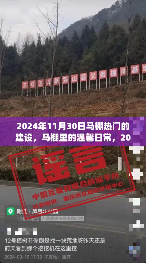 馬棚溫馨日常與熱鬧建設(shè)之旅，2024年11月30日的記錄