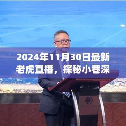 探秘小巷深處的獨(dú)特直播間，揭秘隱藏版特色小店，老虎直播獨(dú)家呈現(xiàn)