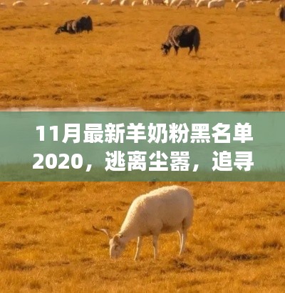 羊奶粉黑名單揭秘，追尋心靈寧?kù)o之旅的別樣風(fēng)情