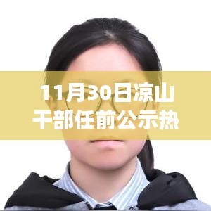 涼山干部任前公示操作指南，從零起步到公示完成全解析