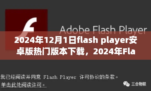 2024年Flash Player安卓版熱門版本下載回顧與影響