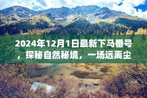 探秘自然秘境，啟程于2024年心靈之旅的冒險(xiǎn)號(hào)角
