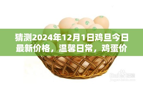 雞蛋價(jià)格之謎，探索2024年最新價(jià)格與友情的紐帶