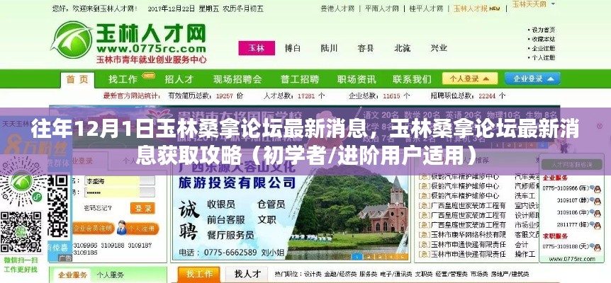 往年12月1日玉林桑拿論壇最新消息全解析，獲取攻略初學(xué)者與進(jìn)階用戶必讀