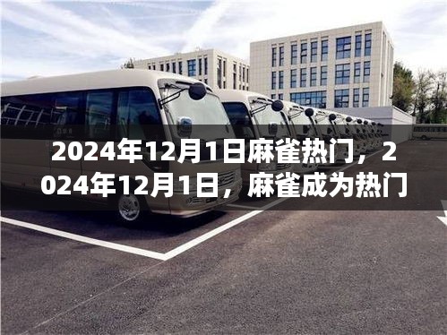 揭秘麻雀魅力背后的原因，為何它在2024年12月1日成為熱門焦點(diǎn)？