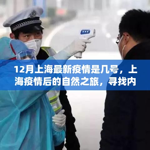 上海疫情后的自然之旅，尋找內(nèi)心的寧靜與力量之旅（最新疫情動(dòng)態(tài)）