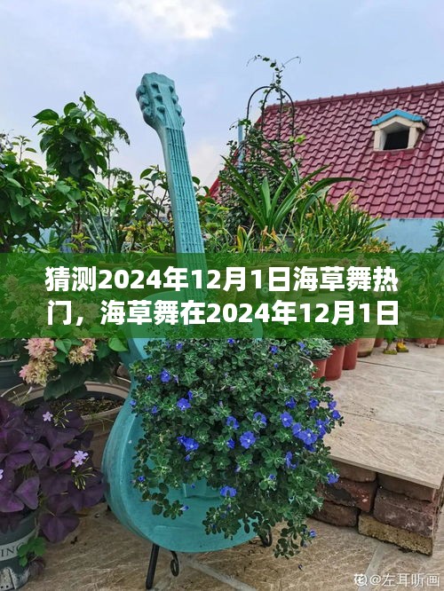 2024年12月1日海草舞流行趨勢預(yù)測，熱門舞蹈風潮再起