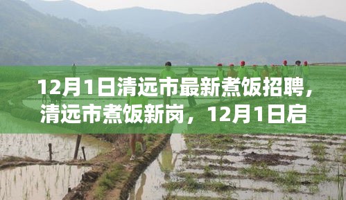 清遠(yuǎn)市最新煮飯招聘啟航，烹飪?nèi)松晒Φ拿卦E探尋之路