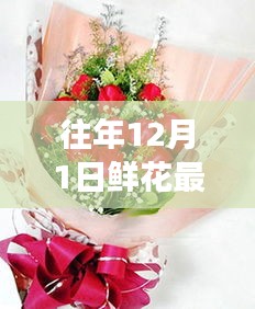 往年12月1日鮮花最新包裝圖片探析，視覺盛宴的背后利與弊