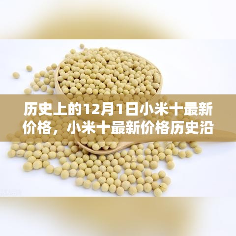 小米十最新價(jià)格深度解析，歷史沿革、目標(biāo)用戶群體分析與深度評(píng)測(cè)報(bào)告
