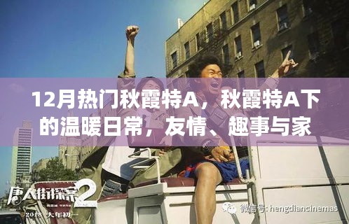秋霞特A下的溫暖日常，友情、趣事與家的味道，12月熱門精選