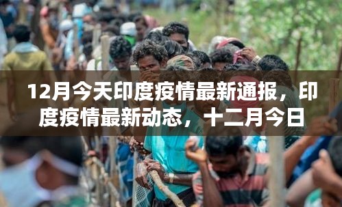 印度疫情最新動態(tài)，十二月今日通報(bào)更新