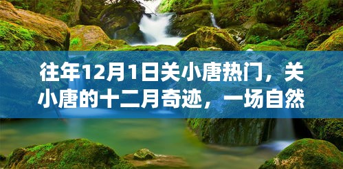 關(guān)小唐的十二月奇跡，自然美景治愈之旅，熱門話題揭秘