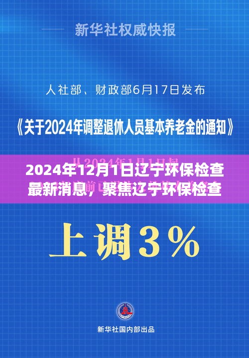 聚焦遼寧環(huán)保檢查最新動態(tài)與解讀（2024年12月版）